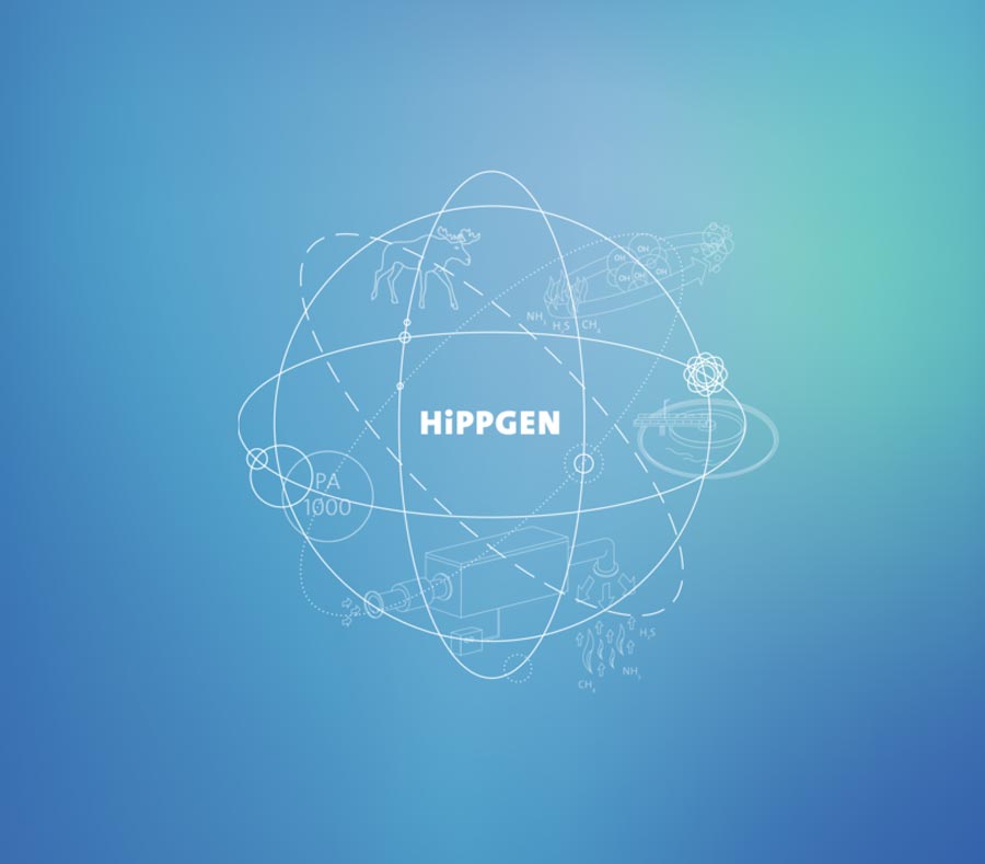 bg_hippgen-mit-grafik